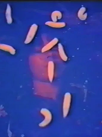 Italian Portrait poster