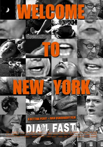 Welcome to New York poster