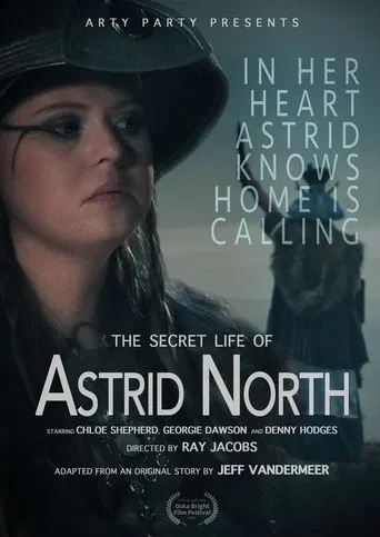 The Secret Life of Astrid North poster