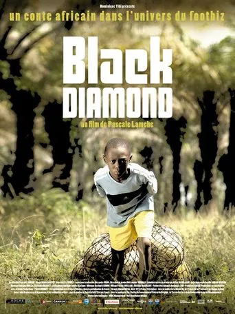 Black Diamond poster