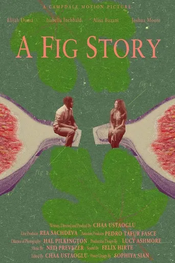 A Fig Story poster