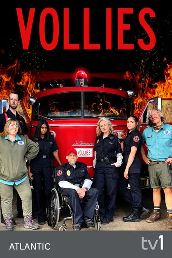 Vollies poster