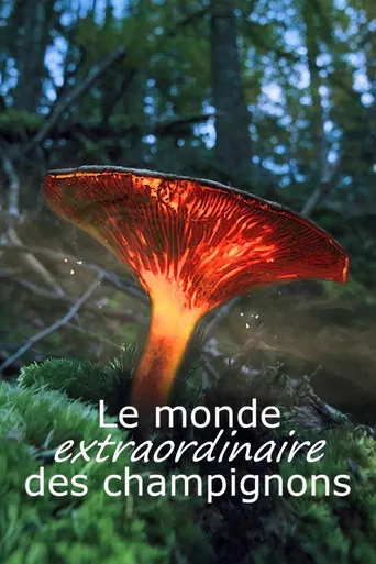 Le monde extraordinaire des champignons poster