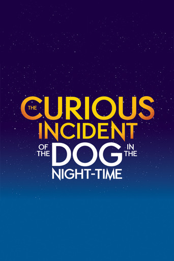 The Curious Incident of the Dog in the Night-Time poster