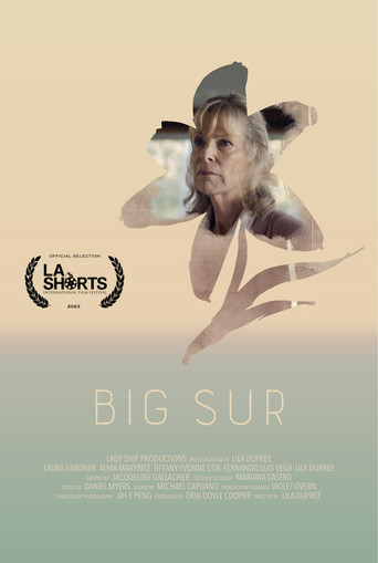Big Sur poster