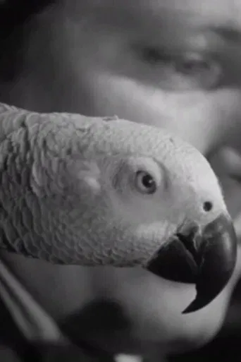 A Journal of the Outdoors No. 11 poster