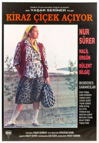 Cheery blossom time poster