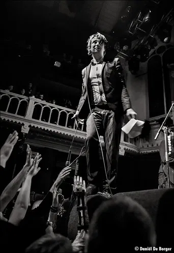 Babyshambles Live at AB - Ancienne Belgique poster