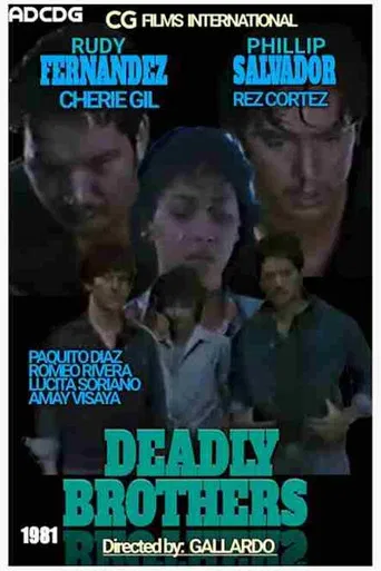 Deadly Brothers poster