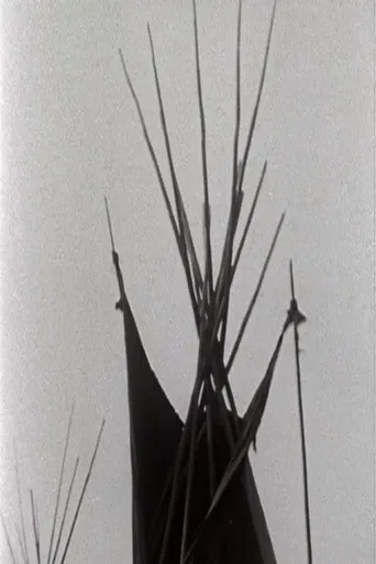 A Pinto for the Prince poster