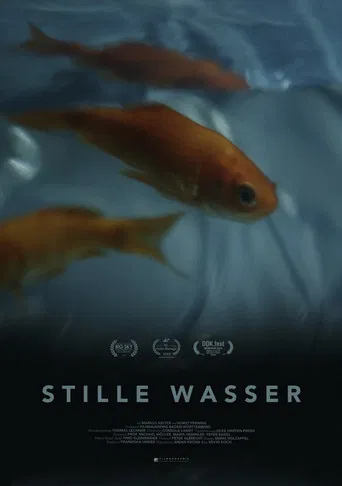 Silent Waters poster