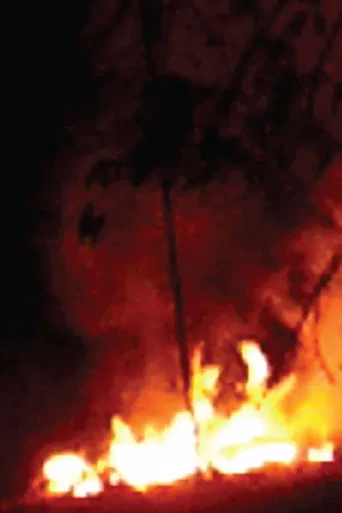 Every Flame Tree is a Burning Island poster