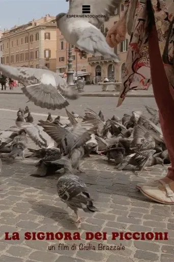 La signora dei piccioni poster