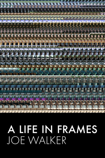 A Life in Frames — Joe Walker poster