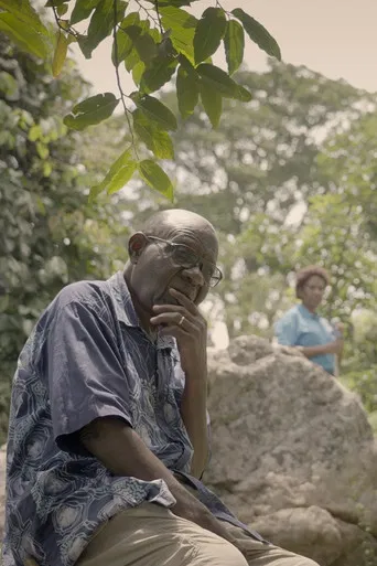 Dreaming Serenada poster