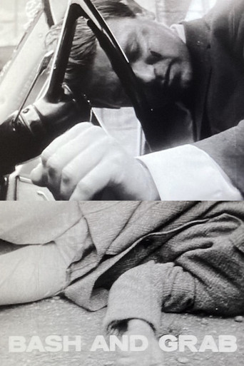 Bash and Grab poster