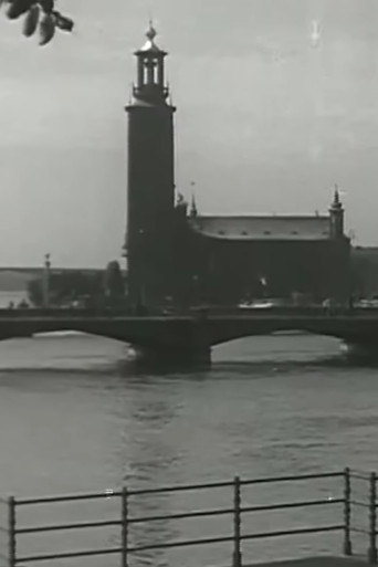 Venice of the North poster