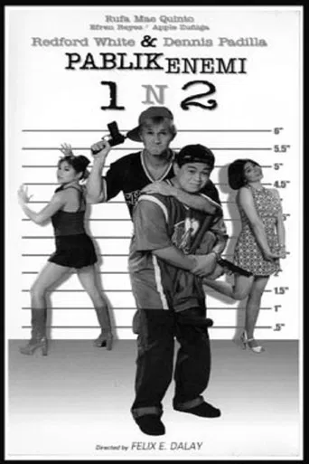 Pablik Enemi 1 n 2: Aksidental Heroes poster