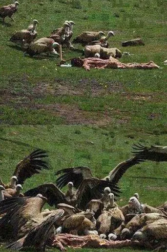 Celestial Burial poster