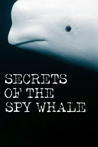 Secrets of the Spy Whale poster