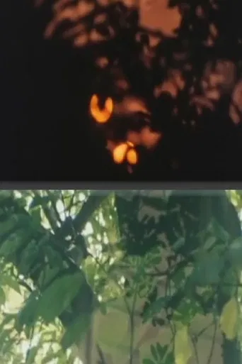 Whispering Light poster