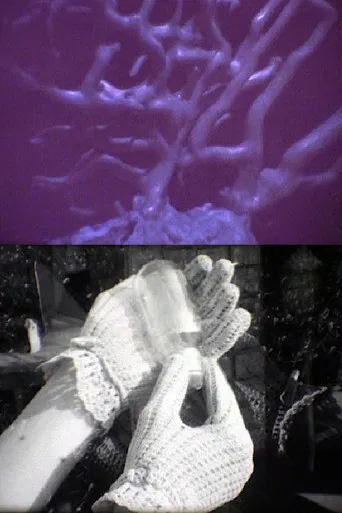 Her* Hands and His Forms poster