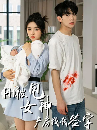 刚被甩女神产房找我签字 poster