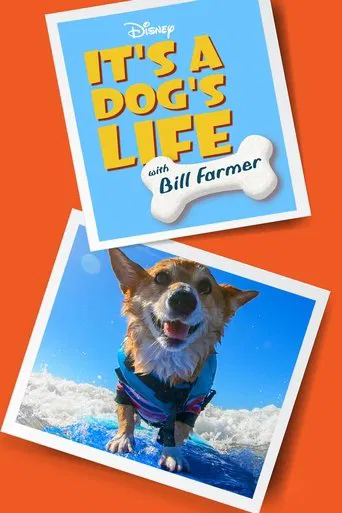It's a Dog's Life with Bill Farmer poster