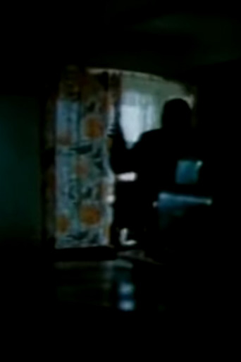 Przypadek Hermana Palacza poster