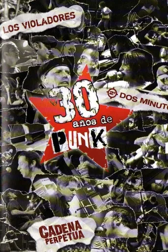 30 años de punk poster