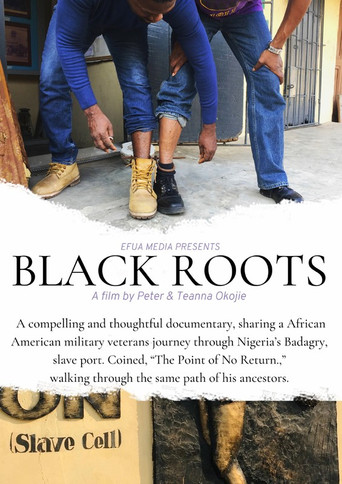 Black Roots poster