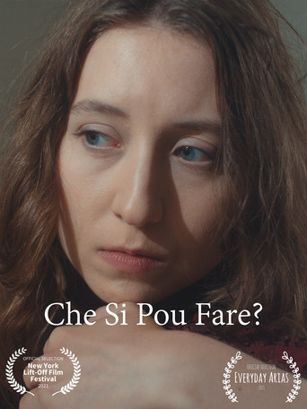 Che Si Può Fare? poster