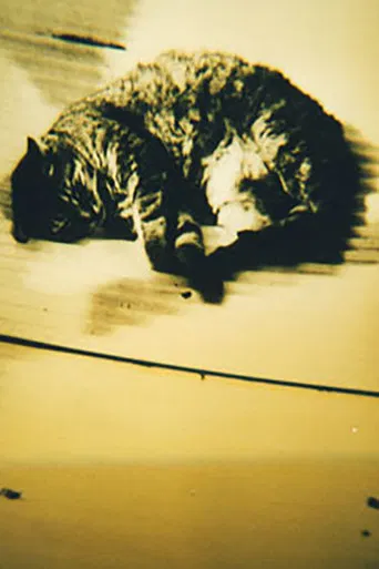 Animal Studies poster