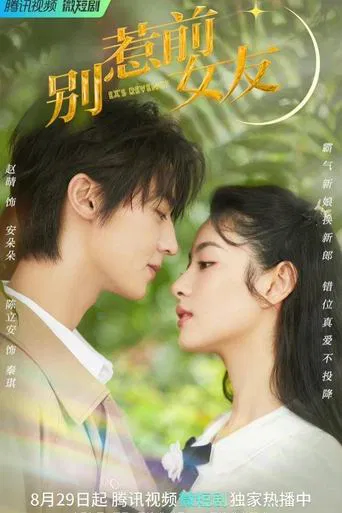 Don't Mess With EX-Girlfriend poster