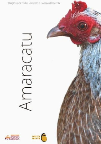Amaracatu poster