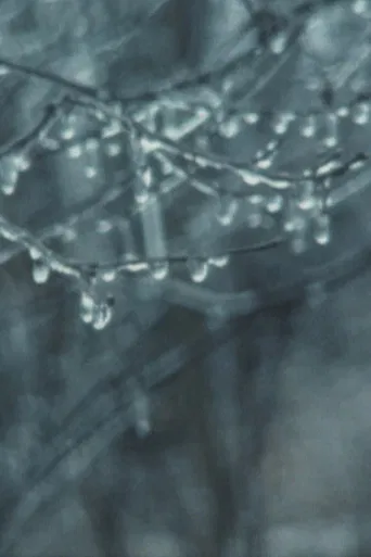 Super 8 Diary - 1989 poster