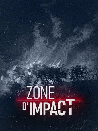Zone d'impact poster