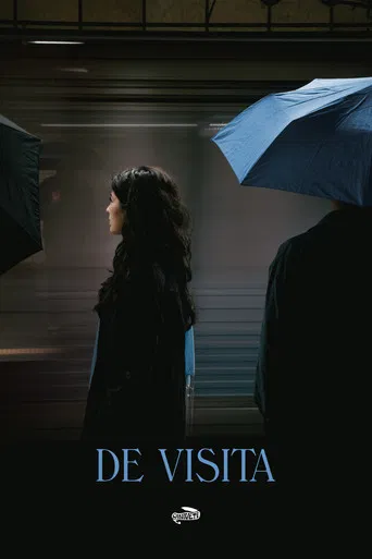 DE VISITA poster