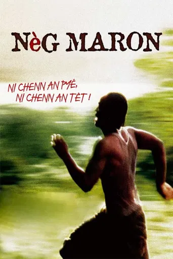 Nèg maron poster