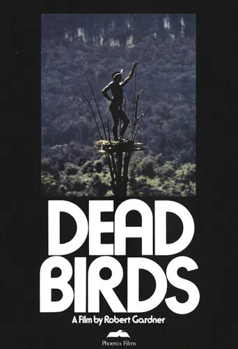 Dead Birds poster