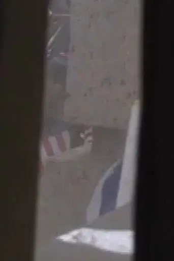 I'm a Pilot Like You poster