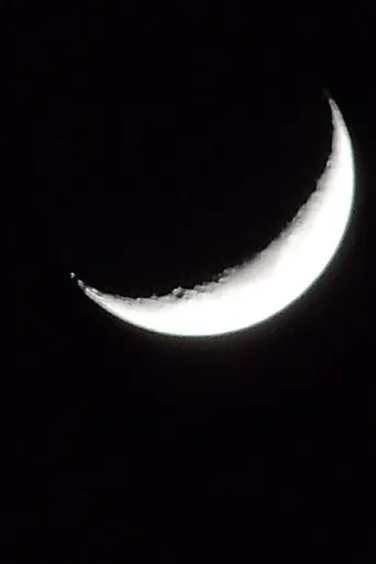 Lost on Arrival poster