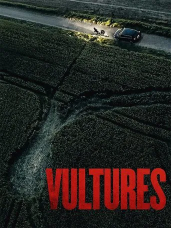 Vultures poster