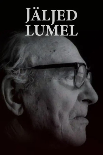 Tracks on Snow poster