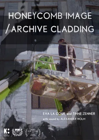 Honeycomb Image / Archive Cladding poster