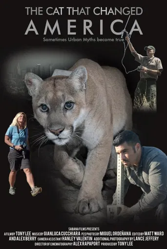 The Cat That Changed America poster