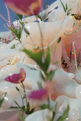 Plane of Incidence II poster