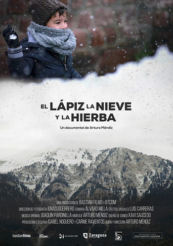 El lápiz, la nieve y la hierba poster