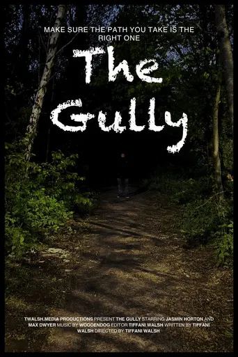 The Gully poster