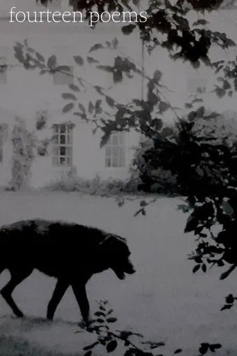 Fourteen poems poster